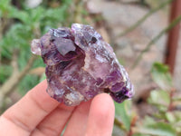 Natural Amethyst Quartz Crystals x 12 From Chiredzi, Zimbabwe