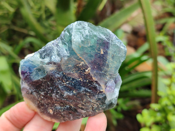 Natural Watermelon Fluorite Cobbed Specimens x 5 From Uis, Namibia