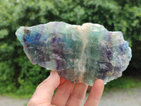 Natural Watermelon Fluorite Cobbed Specimens x 5 From Uis, Namibia