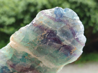 Natural Watermelon Fluorite Cobbed Specimens x 5 From Uis, Namibia