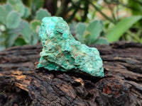 Natural Shattuckite Cobbed Specimens x 47 From Namibia