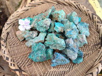 Natural Shattuckite Cobbed Specimens x 47 From Namibia