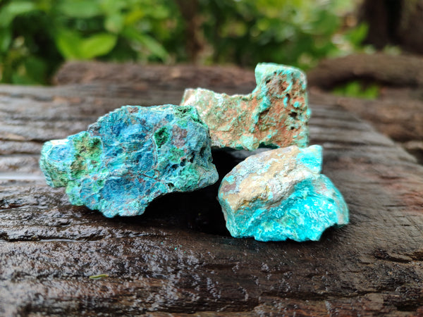 Natural Shattuckite Cobbed Specimens x 47 From Namibia