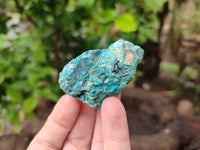 Natural Shattuckite Cobbed Specimens x 47 From Namibia