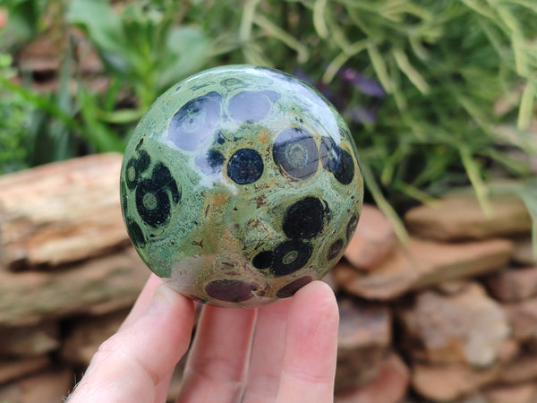 Polished Stromatolite Spheres x 4 From Madagascar