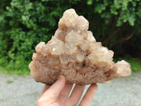 Natural Smokey Phantom Quartz Cluster x 1 From Luena, Congo