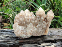 Natural Smokey Phantom Quartz Cluster x 1 From Luena, Congo