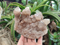 Natural Smokey Phantom Quartz Cluster x 1 From Luena, Congo