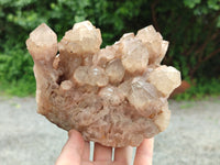 Natural Smokey Phantom Quartz Cluster x 1 From Luena, Congo