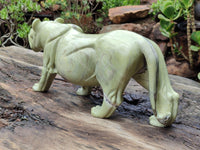 Hand Made Butter Jade Lioness Carving x 1 From South Africa