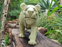 Hand Made Butter Jade Lioness Carving x 1 From South Africa