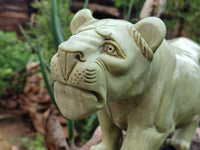 Hand Made Butter Jade Lioness Carving x 1 From South Africa