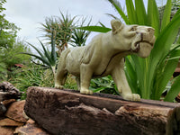 Hand Made Butter Jade Lioness Carving x 1 From South Africa