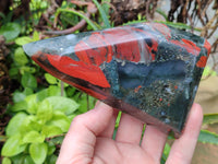 Polished Bloodstone Points x 2 From Swaziland