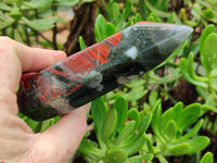 Polished Bloodstone Points x 2 From Swaziland