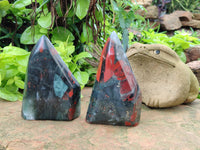 Polished Bloodstone Points x 2 From Swaziland