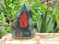 Polished Bloodstone Points x 2 From Swaziland