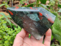 Polished Bloodstone Points x 2 From Swaziland