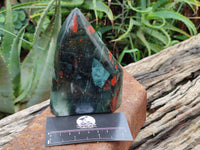 Polished Bloodstone Points x 2 From Swaziland