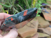 Polished Bloodstone Points x 2 From Swaziland