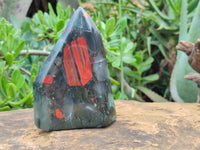 Polished Bloodstone Points x 2 From Swaziland