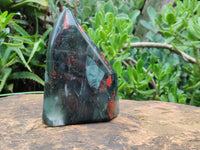 Polished Bloodstone Points x 2 From Swaziland