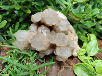 Natural Smokey Phantom Quartz Clusters x 2 From Luena, Congo