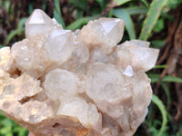 Natural Smokey Phantom Quartz Clusters x 2 From Luena, Congo