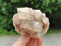 Natural Smokey Phantom Quartz Clusters x 2 From Luena, Congo