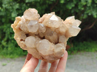 Natural Smokey Phantom Quartz Clusters x 2 From Luena, Congo