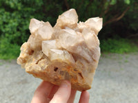 Natural Smokey Phantom Quartz Clusters x 2 From Luena, Congo