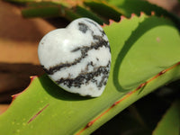 Polished Zebra Marble Gemstone Hearts - sold per item - From China