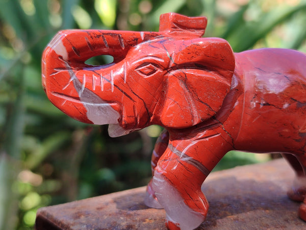 Polished Red Jasper Elephant Carving - sold per item - From South Africa