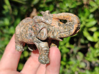 Polished Snakeskin Rhyolite Jasper Elephant Carving - sold per item - From Australia