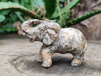 Polished Snakeskin Rhyolite Jasper Elephant Carving - sold per item - From Australia