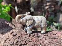 Polished Snakeskin Rhyolite Jasper Elephant Carving - sold per item - From Australia