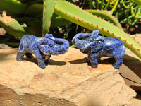 Polished Sodalite Elephant Carvings - sold per item - From Namibia