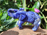 Polished Sodalite Elephant Carvings - sold per item - From Namibia