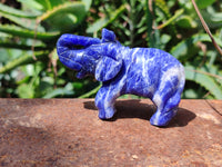 Polished Sodalite Elephant Carvings - sold per item - From Namibia