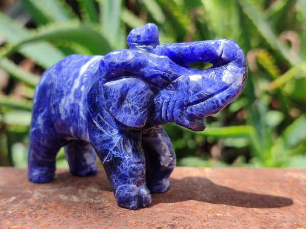 Polished Sodalite Elephant Carvings - sold per item - From Namibia