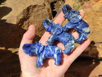 Polished Sodalite Elephant Carvings - sold per item - From Namibia