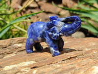 Polished Sodalite Elephant Carvings - sold per item - From Namibia