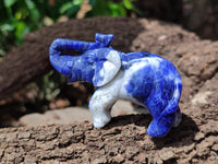 Polished Sodalite Elephant Carvings - sold per item - From Namibia