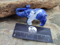 Polished Sodalite Elephant Carvings - sold per item - From Namibia