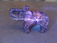 Polished Sodalite Elephant Carvings - sold per item - From Namibia