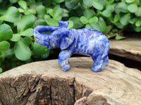 Polished Sodalite Elephant Carvings - sold per item - From Namibia