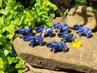 Polished Sodalite Elephant Carvings - sold per item - From Namibia