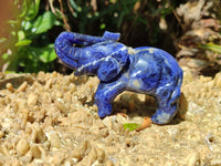 Polished Sodalite Elephant Carvings - sold per item - From Namibia