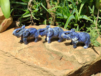 Polished Sodalite Elephant Carvings - sold per item - From Namibia