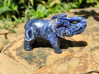 Polished Sodalite Elephant Carvings - sold per item - From Namibia